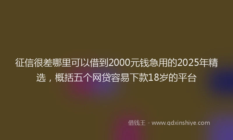 征信很差哪里可以借到2000元钱急用的2025年精选，概括五个网贷容易下款18岁的平台