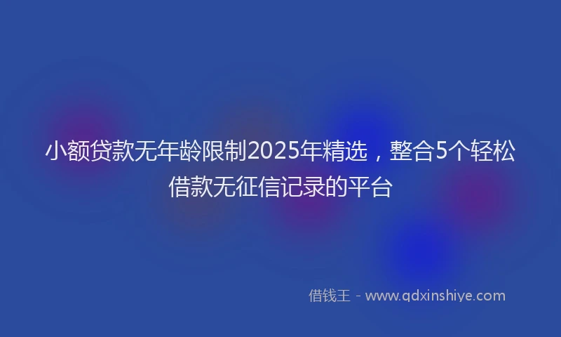 小额贷款无年龄限制2025年精选，整合5个轻松借款无征信记录的平台