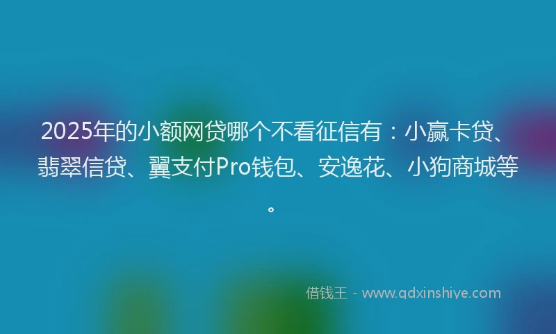 2025年的小额网贷哪个不看征信有：小赢卡贷、翡翠信贷、翼支付Pro钱包、安逸花、小狗商城等。