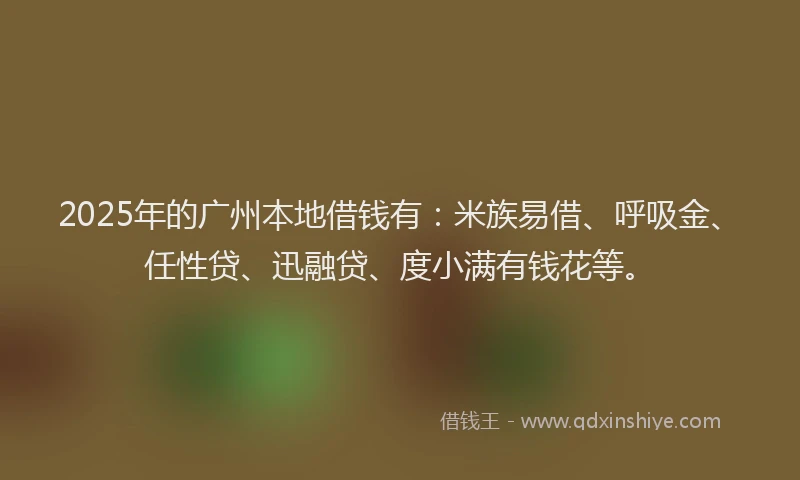 2025年的广州本地借钱有：米族易借、呼吸金、任性贷、迅融贷、度小满有钱花等。