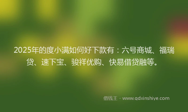 2025年的度小满如何好下款有：六号商城、福瑞贷、速下宝、骏祥优购、快易借贷融等。