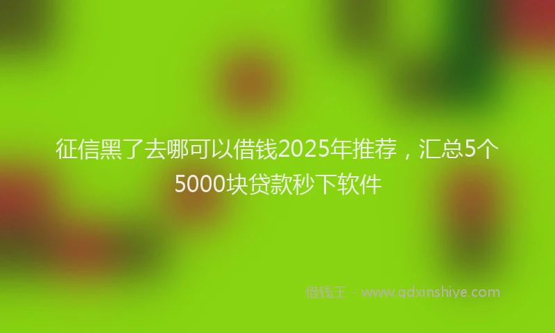 征信黑了去哪可以借钱2025年推荐，汇总5个5000块贷款秒下软件