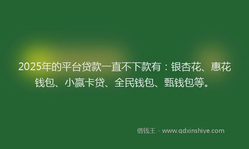 2025年的平台贷款一直不下款有：银杏花、惠花钱包、小赢卡贷、全民钱包、甄钱包等。