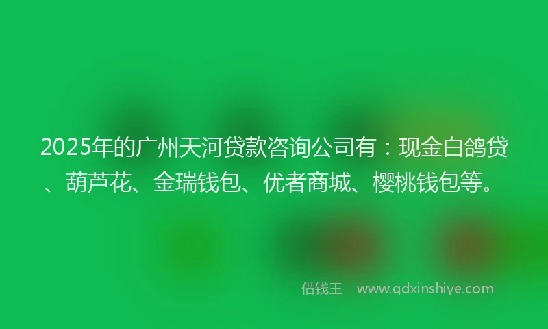 2025年的广州天河贷款咨询公司有：现金白鸽贷、葫芦花、金瑞钱包、优者商城、樱桃钱包等。