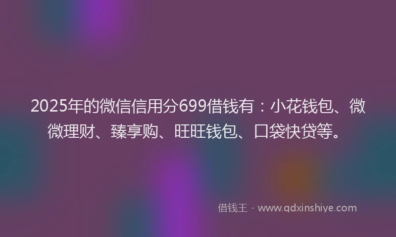 2025年的微信信用分699借钱有：小花钱包、微微理财、臻享购、旺旺钱包、口袋快贷等。