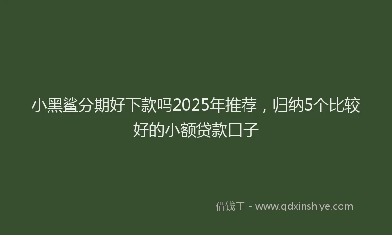 小黑鲨分期好下款吗2025年推荐，归纳5个比较好的小额贷款口子