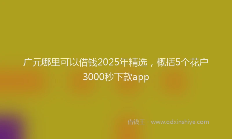 广元哪里可以借钱2025年精选，概括5个花户3000秒下款app