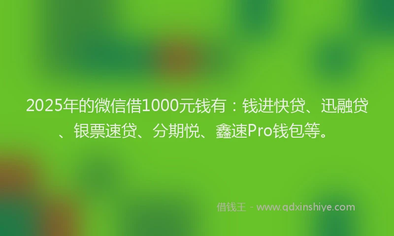 2025年的微信借1000元钱有：钱进快贷、迅融贷、银票速贷、分期悦、鑫速Pro钱包等。