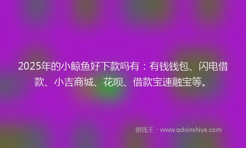 2025年的小鲸鱼好下款吗有：有钱钱包、闪电借款、小吉商城、花呗、借款宝速融宝等。