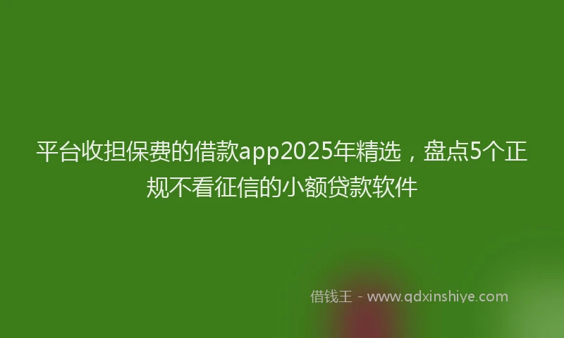 平台收担保费的借款app2025年精选，盘点5个正规不看征信的小额贷款软件