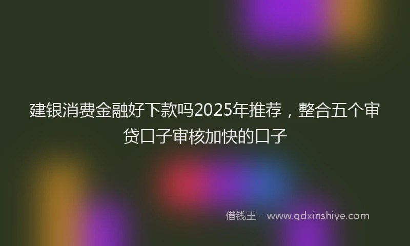 建银消费金融好下款吗2025年推荐，整合五个审贷口子审核加快的口子
