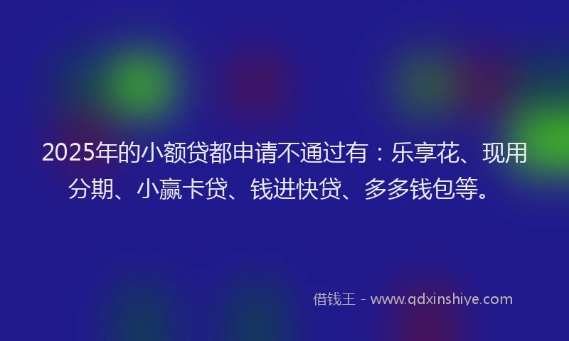 2025年的小额贷都申请不通过有：乐享花、现用分期、小赢卡贷、钱进快贷、多多钱包等。