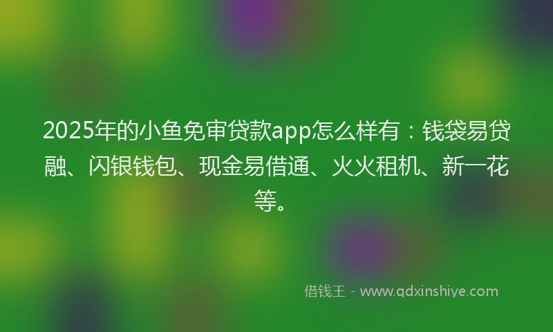 2025年的小鱼免审贷款app怎么样有：钱袋易贷融、闪银钱包、现金易借通、火火租机、新一花等。
