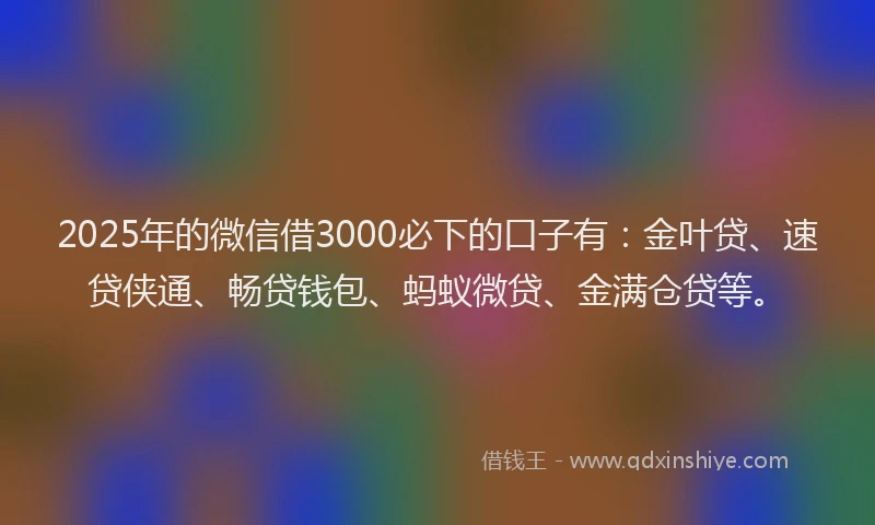 2025年的微信借3000必下的口子有：金叶贷、速贷侠通、畅贷钱包、蚂蚁微贷、金满仓贷等。