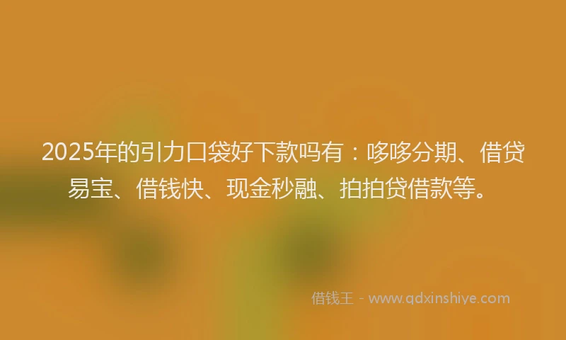 2025年的引力口袋好下款吗有：哆哆分期、借贷易宝、借钱快、现金秒融、拍拍贷借款等。