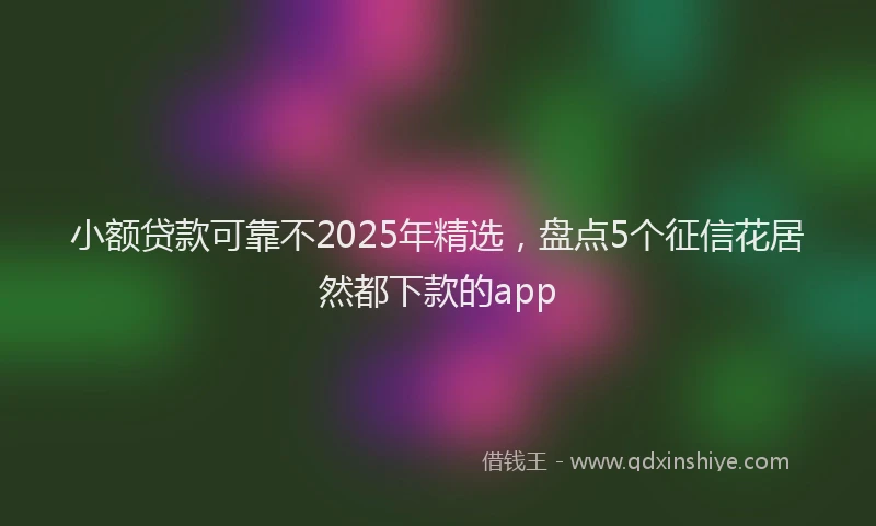小额贷款可靠不2025年精选，盘点5个征信花居然都下款的app