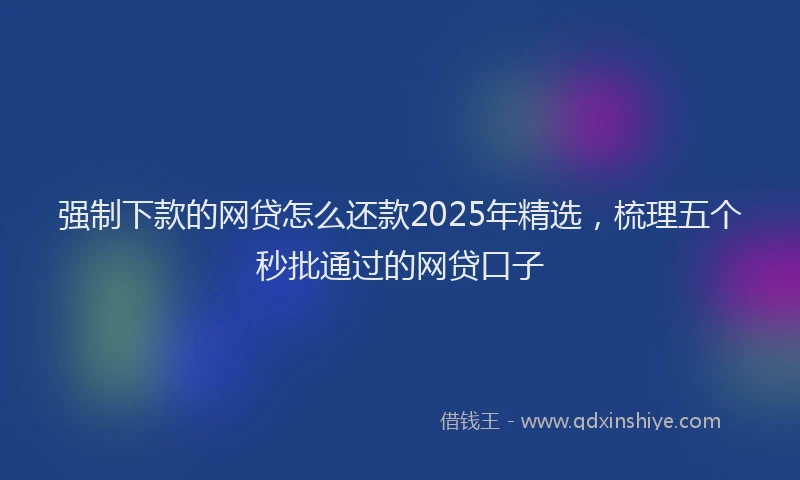 强制下款的网贷怎么还款2025年精选，梳理五个秒批通过的网贷口子