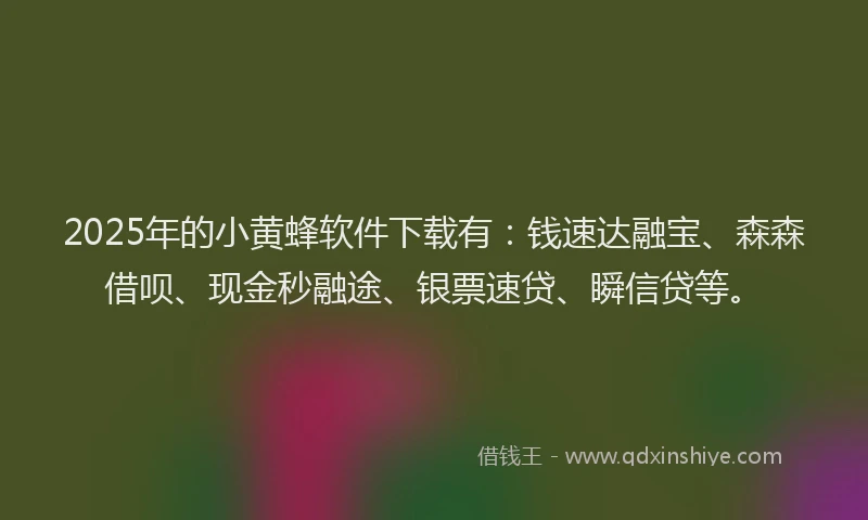 2025年的小黄蜂软件下载有：钱速达融宝、森森借呗、现金秒融途、银票速贷、瞬信贷等。