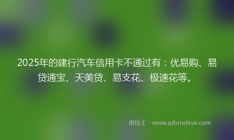 2025年的建行汽车信用卡不通过有：优易购、易贷通宝、天美贷、易支花、极速花等。