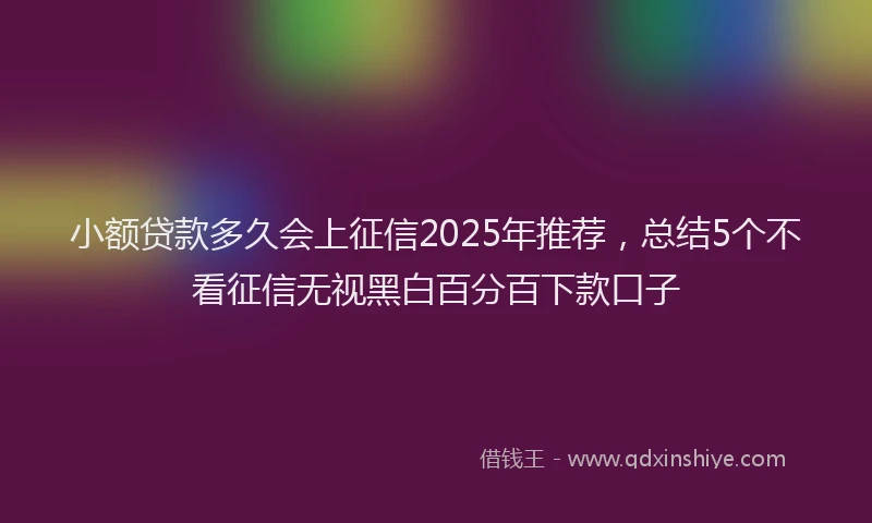 小额贷款多久会上征信2025年推荐，总结5个不看征信无视黑白百分百下款口子