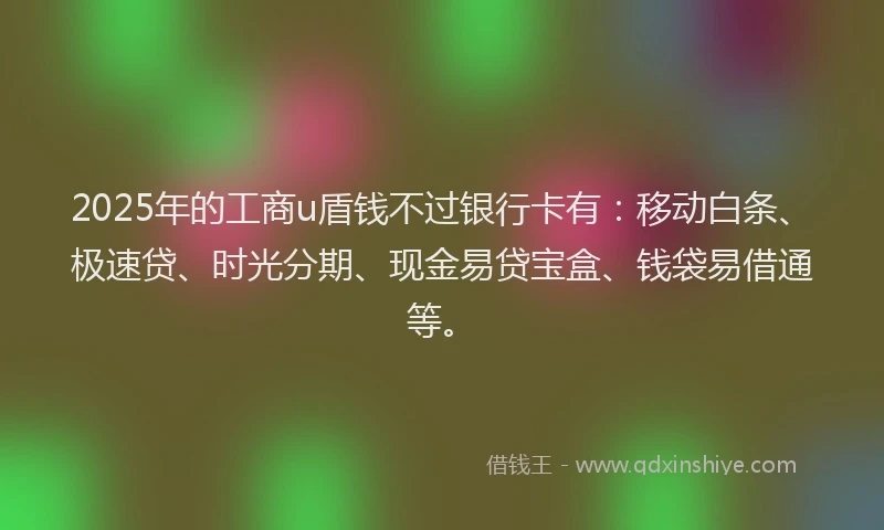 2025年的工商u盾钱不过银行卡有：移动白条、极速贷、时光分期、现金易贷宝盒、钱袋易借通等。