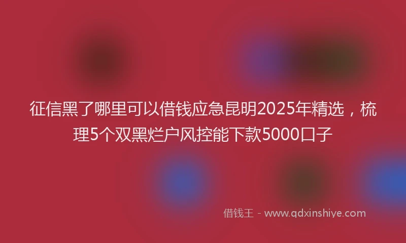 征信黑了哪里可以借钱应急昆明2025年精选，梳理5个双黑烂户风控能下款5000口子
