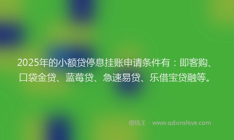 2025年的小额贷停息挂账申请条件有：即客购、口袋金贷、蓝莓贷、急速易贷、乐借宝贷融等。