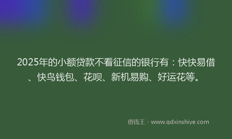 2025年的小额贷款不看征信的银行有：快快易借、快鸟钱包、花呗、新机易购、好运花等。