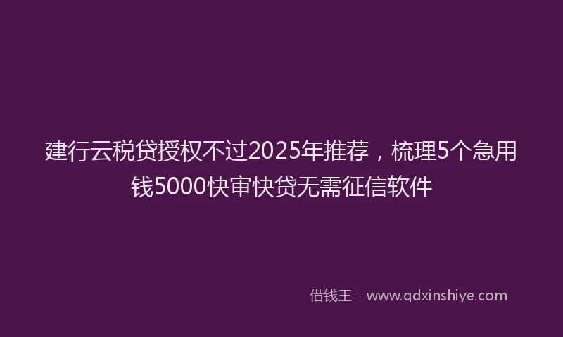 建行云税贷授权不过2025年推荐，梳理5个急用钱5000快审快贷无需征信软件
