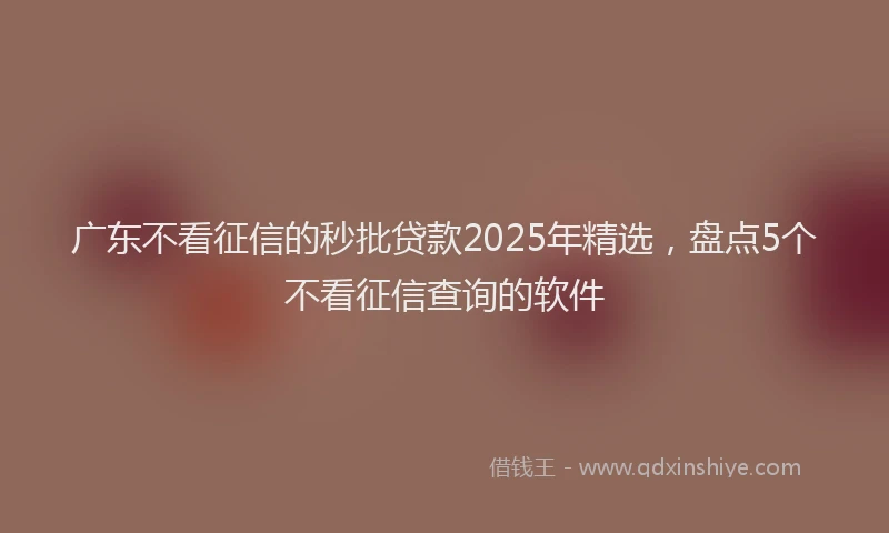 广东不看征信的秒批贷款2025年精选，盘点5个不看征信查询的软件