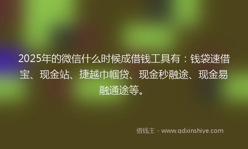 2025年的微信什么时候成借钱工具有：钱袋速借宝、现金站、捷越巾帼贷、现金秒融途、现金易融通途等。