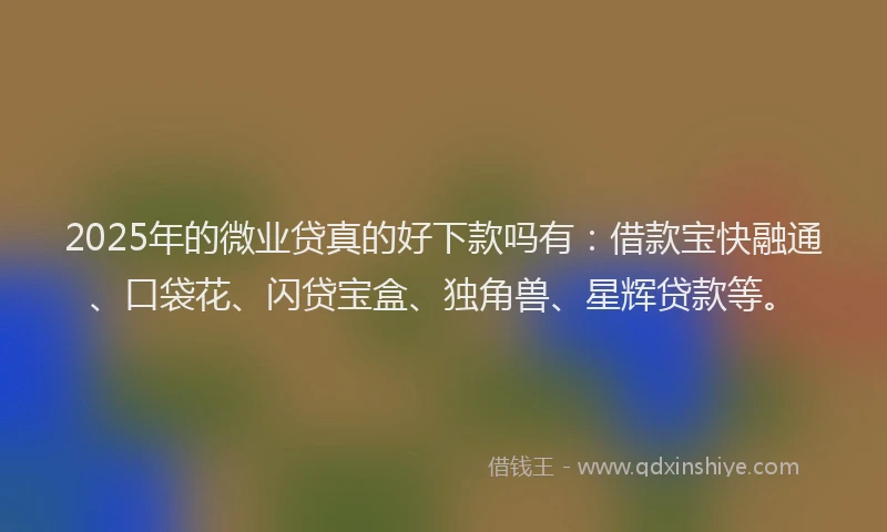 2025年的微业贷真的好下款吗有：借款宝快融通、口袋花、闪贷宝盒、独角兽、星辉贷款等。