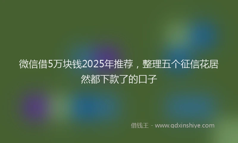 微信借5万块钱2025年推荐，整理五个征信花居然都下款了的口子