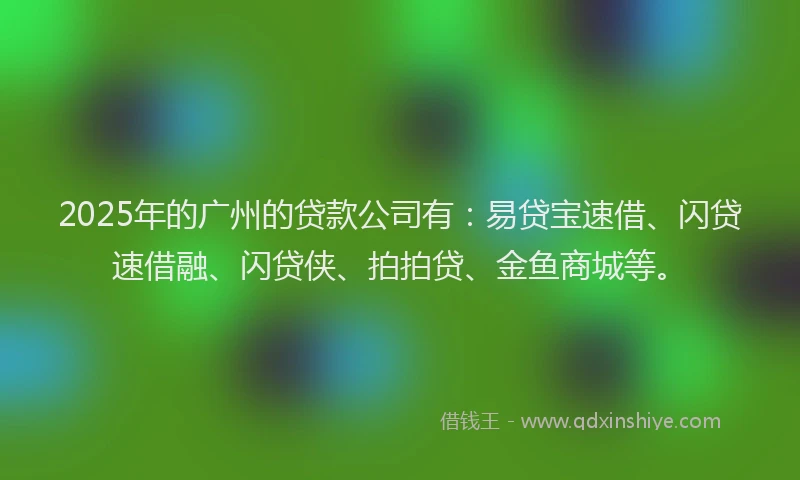 2025年的广州的贷款公司有：易贷宝速借、闪贷速借融、闪贷侠、拍拍贷、金鱼商城等。
