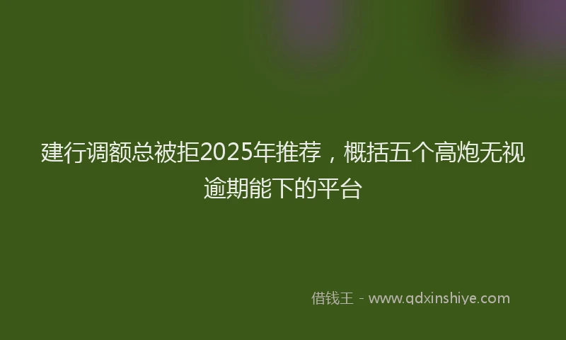 建行调额总被拒2025年推荐，概括五个高炮无视逾期能下的平台