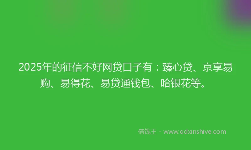 2025年的征信不好网贷口子有：臻心贷、京享易购、易得花、易贷通钱包、哈银花等。