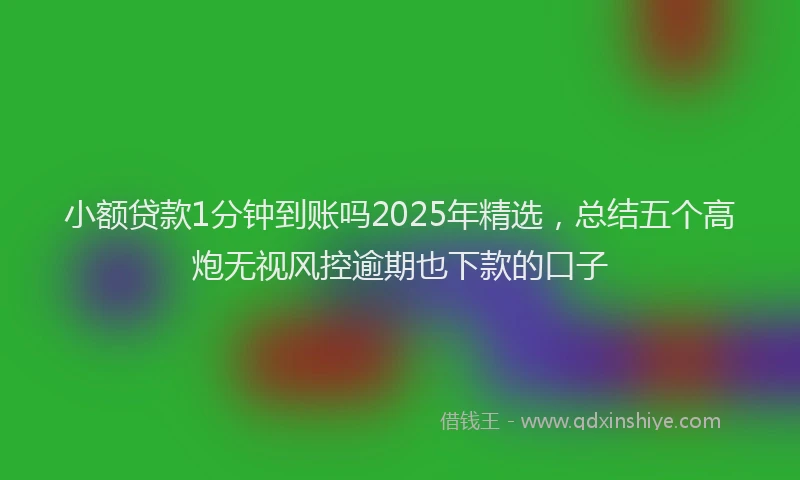 小额贷款1分钟到账吗2025年精选，总结五个高炮无视风控逾期也下款的口子