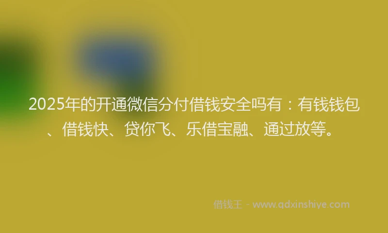 2025年的开通微信分付借钱安全吗有：有钱钱包、借钱快、贷你飞、乐借宝融、通过放等。