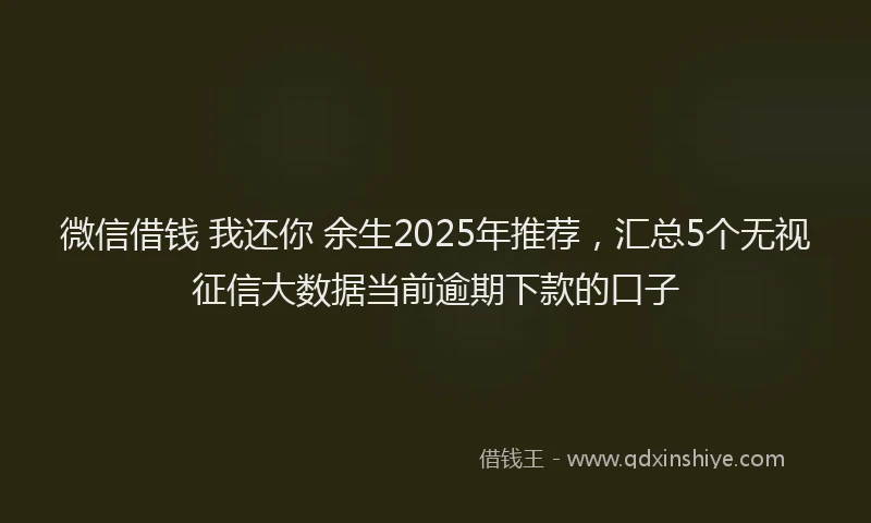 微信借钱 我还你 余生2025年推荐，汇总5个无视征信大数据当前逾期下款的口子