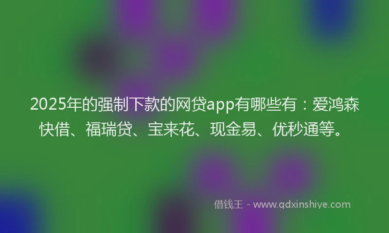 2025年的强制下款的网贷app有哪些有：爱鸿森快借、福瑞贷、宝来花、现金易、优秒通等。