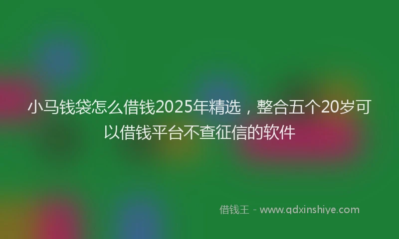 小马钱袋怎么借钱2025年精选，整合五个20岁可以借钱平台不查征信的软件