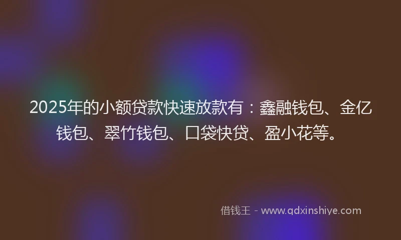 2025年的小额贷款快速放款有：鑫融钱包、金亿钱包、翠竹钱包、口袋快贷、盈小花等。