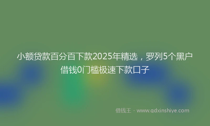 小额贷款百分百下款2025年精选，罗列5个黑户借钱0门槛极速下款口子