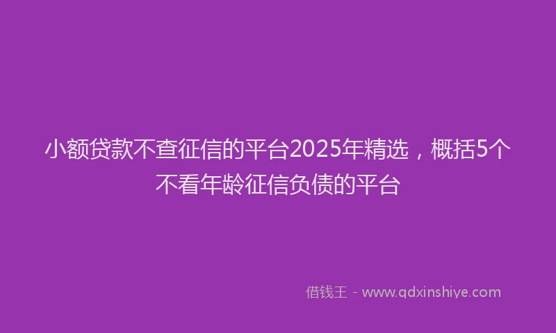 小额贷款不查征信的平台2025年精选，概括5个不看年龄征信负债的平台