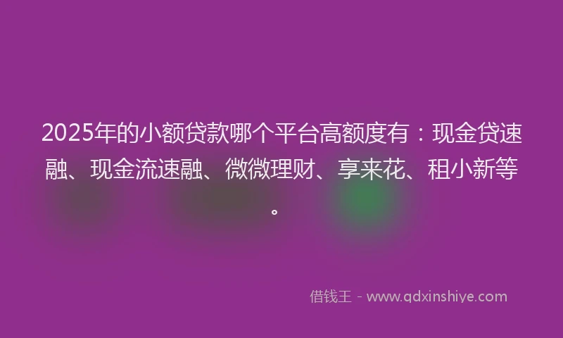 2025年的小额贷款哪个平台高额度有：现金贷速融、现金流速融、微微理财、享来花、租小新等。