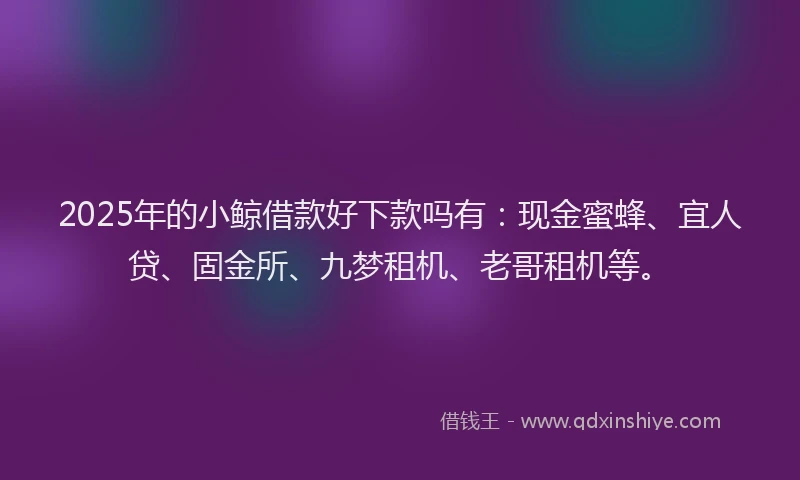 2025年的小鲸借款好下款吗有：现金蜜蜂、宜人贷、固金所、九梦租机、老哥租机等。