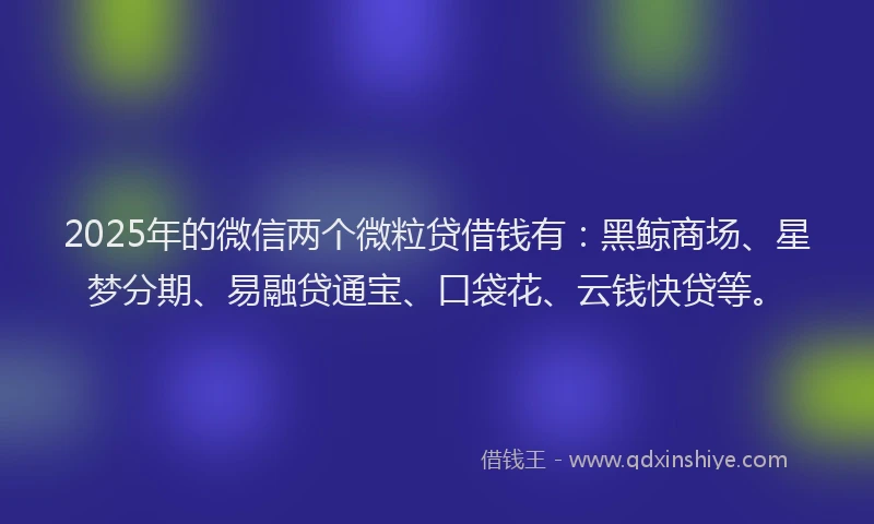 2025年的微信两个微粒贷借钱有：黑鲸商场、星梦分期、易融贷通宝、口袋花、云钱快贷等。