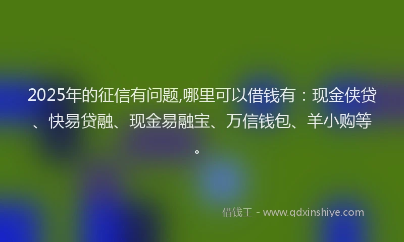 2025年的征信有问题,哪里可以借钱有：现金侠贷、快易贷融、现金易融宝、万信钱包、羊小购等。
