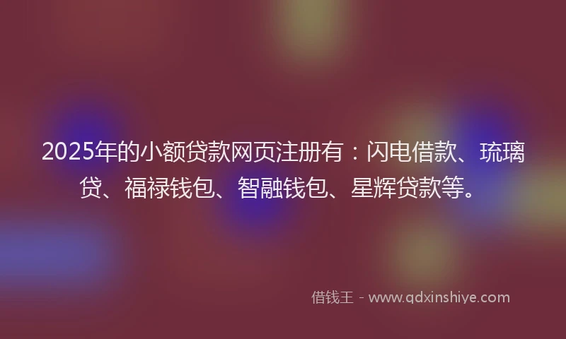 2025年的小额贷款网页注册有：闪电借款、琉璃贷、福禄钱包、智融钱包、星辉贷款等。