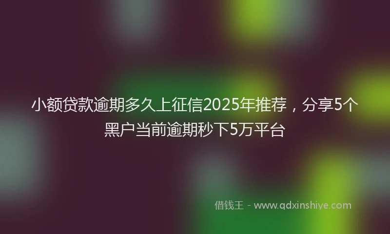 小额贷款逾期多久上征信2025年推荐，分享5个黑户当前逾期秒下5万平台